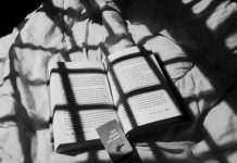 Văn chương, có nhất thiết phải hiểu?