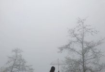 Mù Sương – Giàu Dương