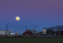 Truyện ngắn: Đêm trăng lạnh – Osaka Keikichi