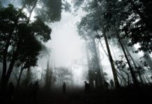 Rừng thiêng – Võ Đào Phương Trâm