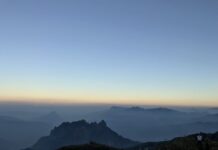 Muối của rừng – Truyện ngắn của Nguyễn Huy Thiệp