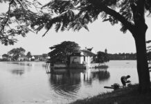 Hồ Trúc Bạch: Nơi cung nữ phạm lỗi bị lưu đày